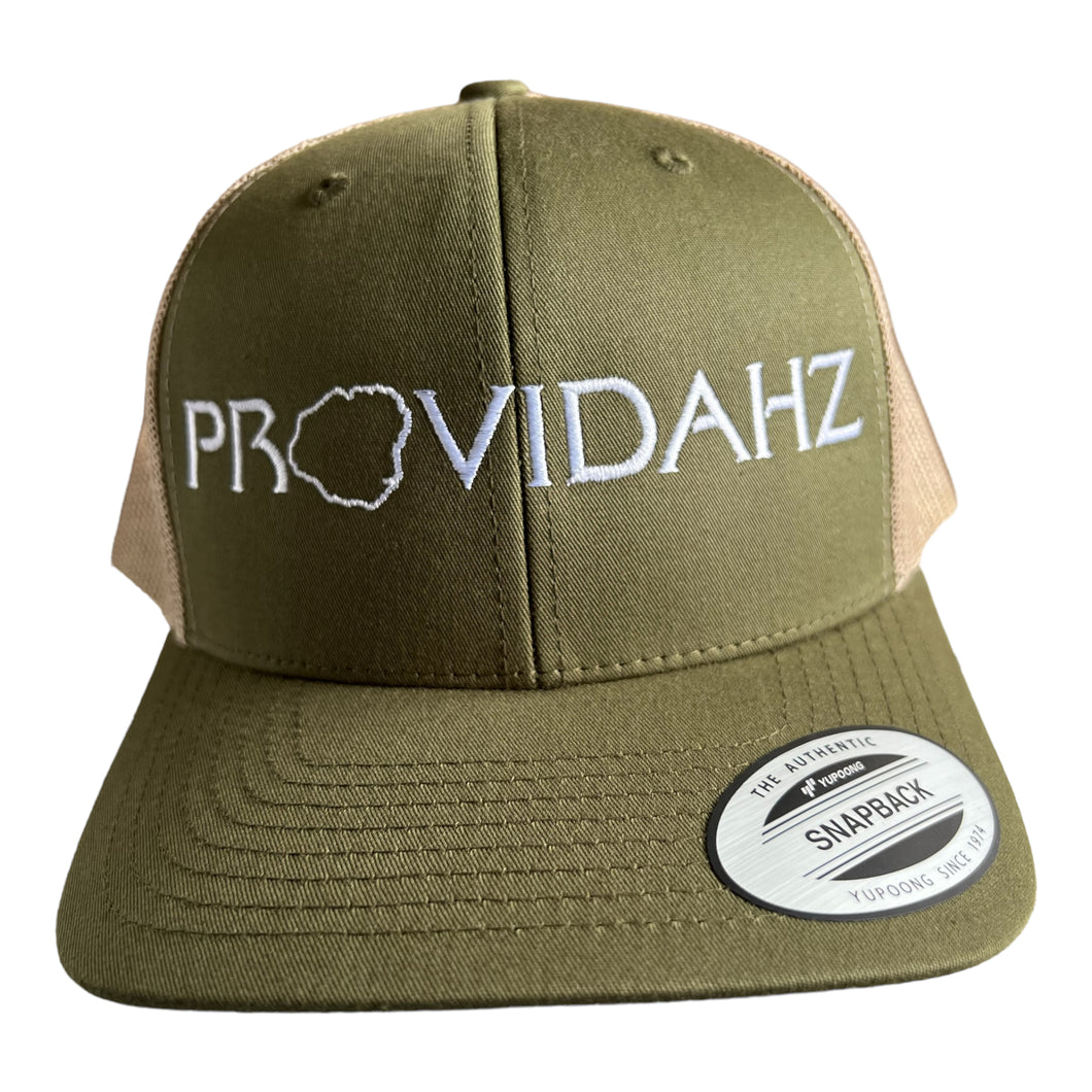 OLIVE CURVED W/MESH SNAPBACK